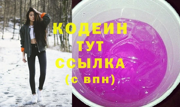 гашик Арсеньев