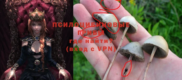 PSILOCYBIN Армянск