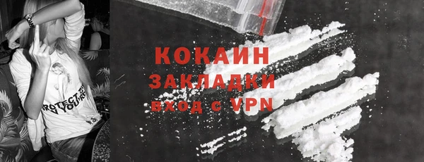 гашик Арсеньев